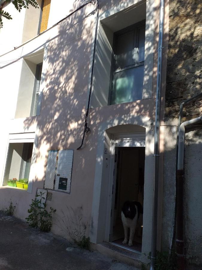 La Maison D Annick Apartment Lodeve Ngoại thất bức ảnh